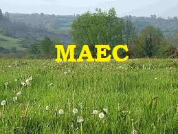 Vous êtes engagé dans une MAEC (Mesure Agro- Environnementale et Climatique) dont le cahier des charges impose la réalisation d’un IFT (Indice de Fréquence de Traitement) accompagné avant le 31 décembre ?
Nous vous proposons une solution clé en main