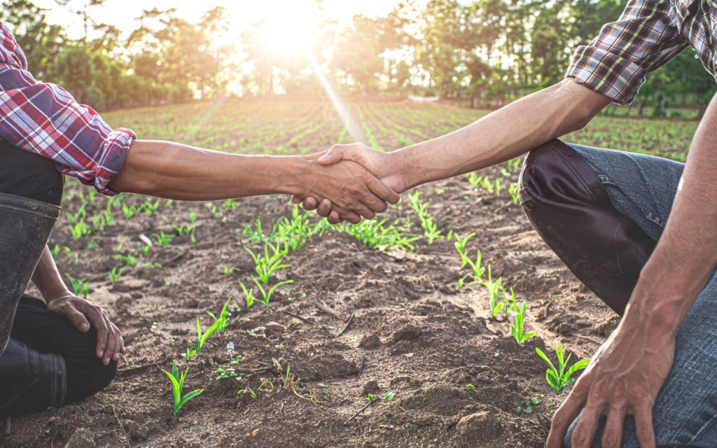 Chaque entreprise de la production agricole et chaque Cuma employant des salariés non-cadres doit souscrire une adhésion auprès d’un assureur avant le 1er juillet 2021...