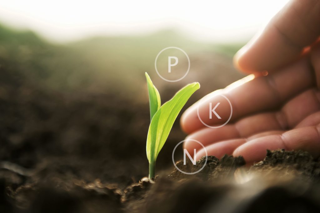 La réalisation du plan prévisionnel de fumure et l'enregistrement des pratiques relèvent des règles de la Directive Nitrates et de la conditionnalité des aides PAC.