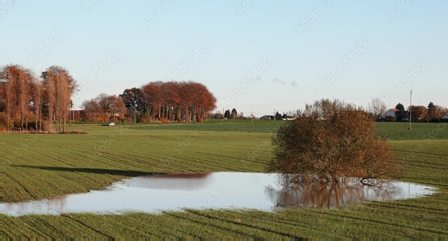 Pour les départements des Deux-Sèvres, de la Vendée et une partie de la Loire Atlantique l'indice d'humidité des sols est supérieur à 0,85 ce qui place ces départements en situation de force majeure permettant d’activer la dérogation individuelle.