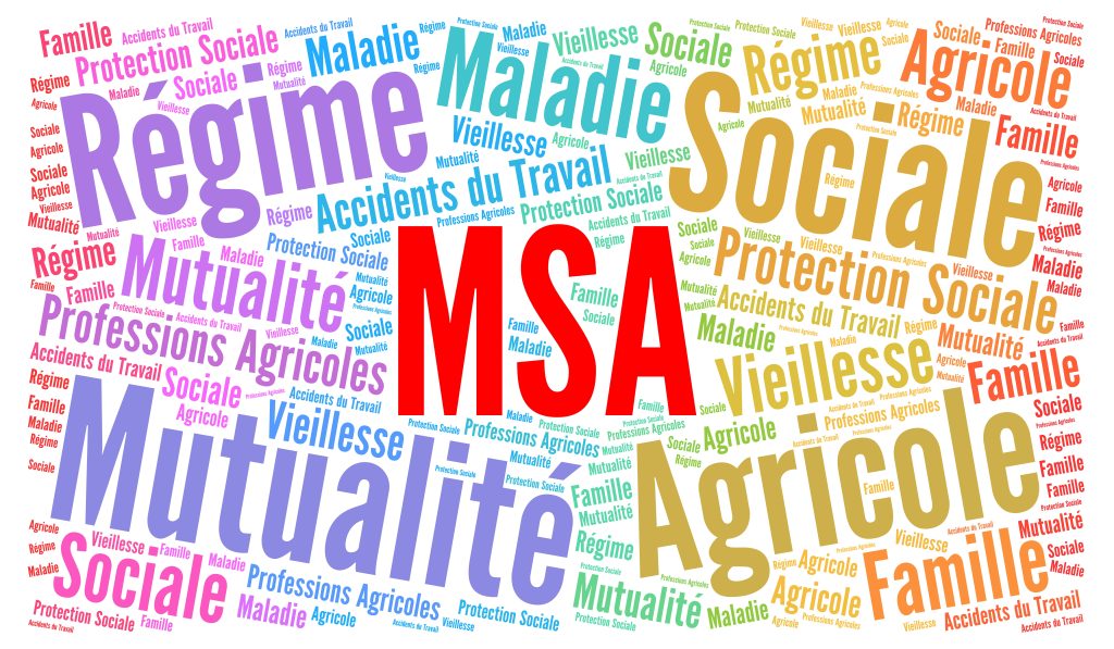 Dépôt des demandes via un formulaire avant le 31 mai 2026 avec une attestation de minimis à fournir.