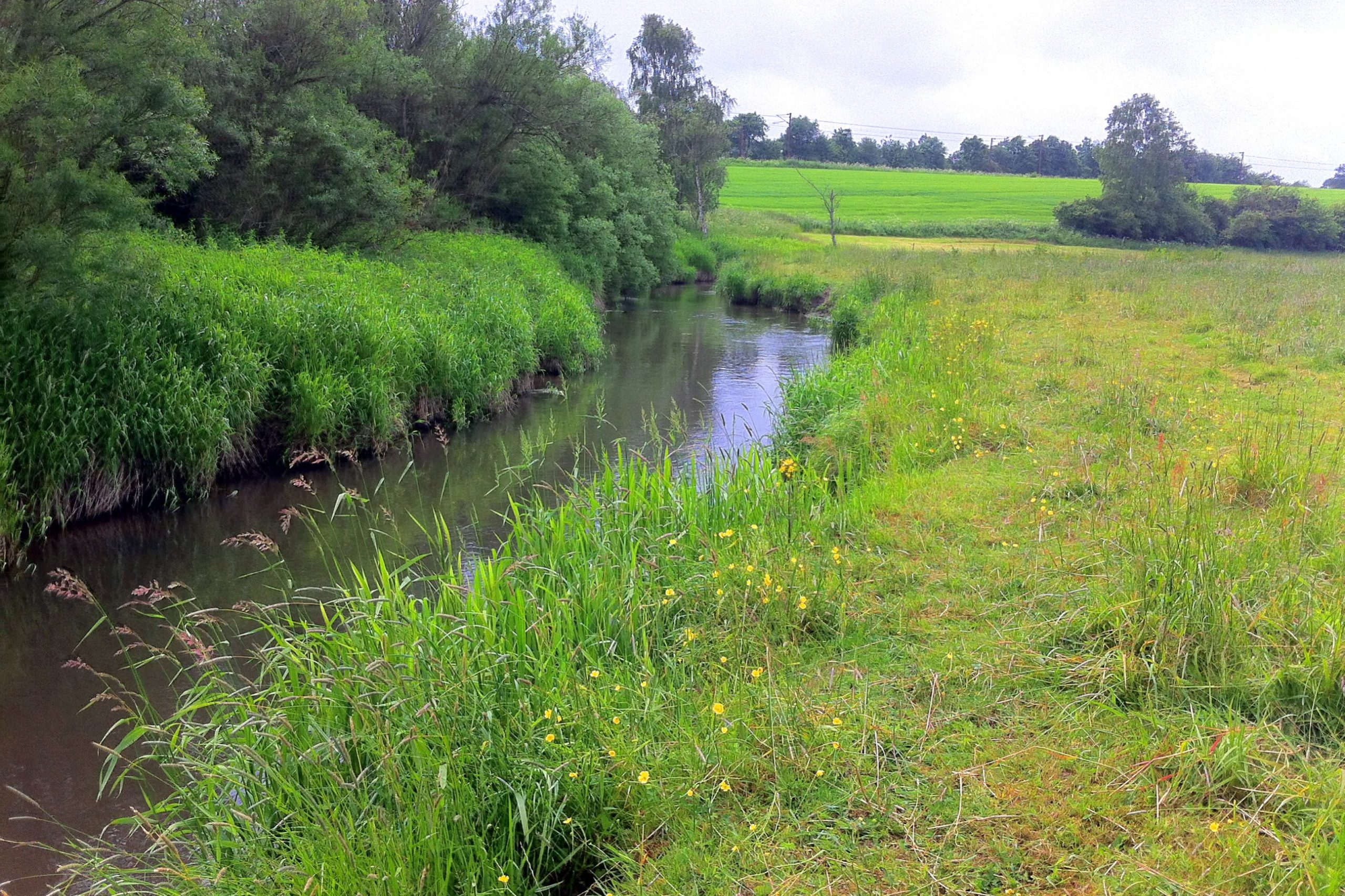 Stream of freshwater with bank along farming agricultural fields