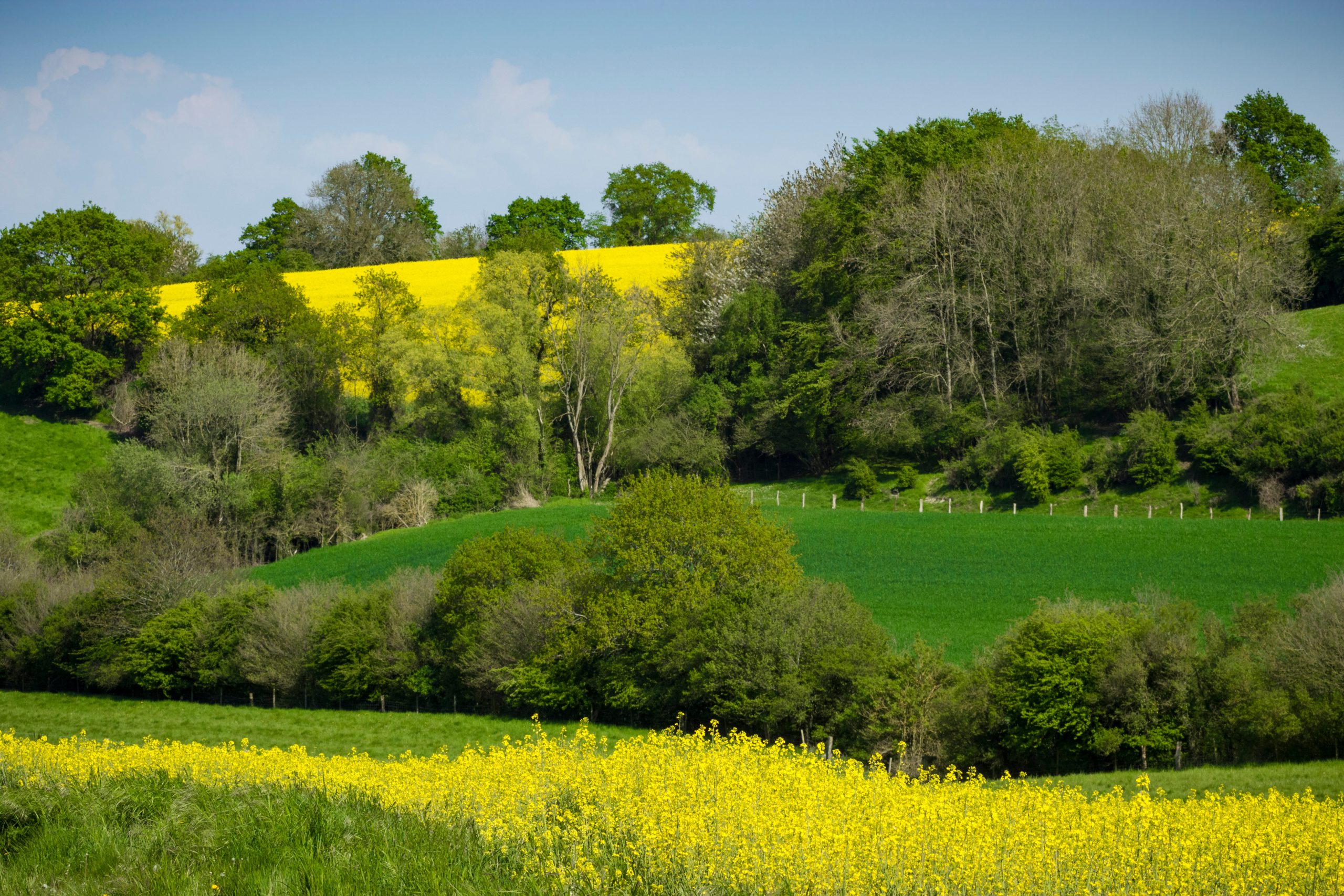 Parcelles