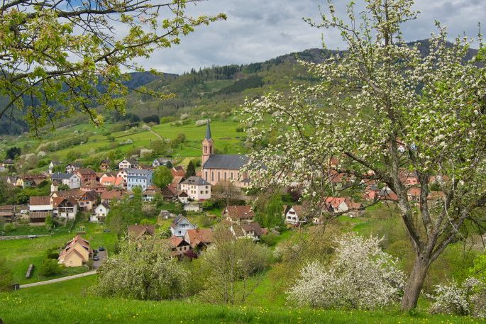 Elu rural